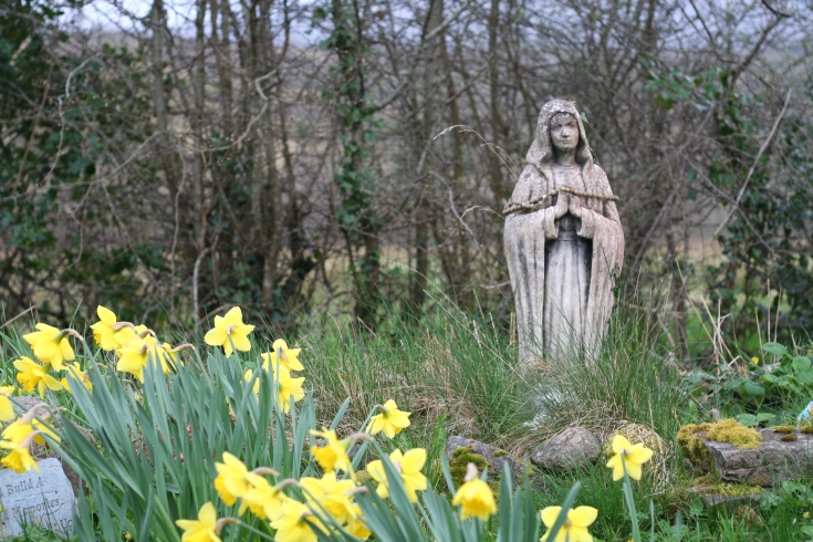 Daffodils and a saint statue