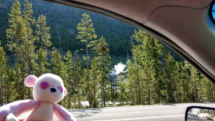 pink stuffed animal in a car window, a yellowstone steam vent featured in the background