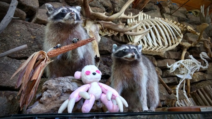 two stuffed raccoons, one pink stuffed pear with long claws